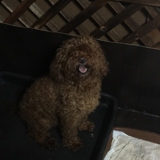 ありがとうございました！