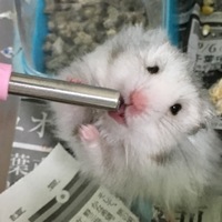 アイス