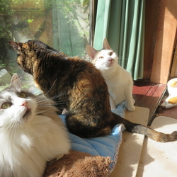 ε- (ーдー;A)ハァ