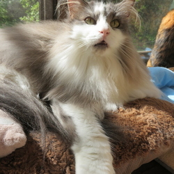 「ε- (ーдー;A)ハァ」サムネイル2