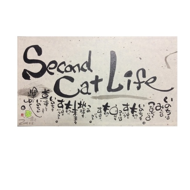 Second Cat Life （セカンドキャットライフ）のカバー写真