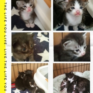 ご予約おまちしてます