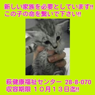 里親様決定しました‼