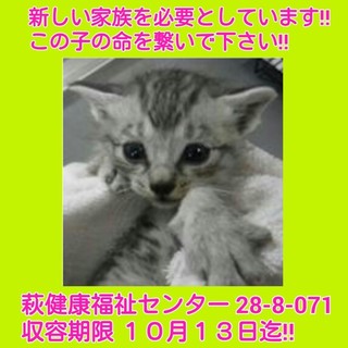 里親様決定しました‼