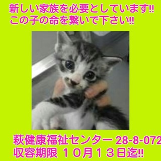 里親様決定しました‼