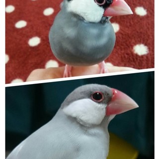 ご応募ありがとうございました