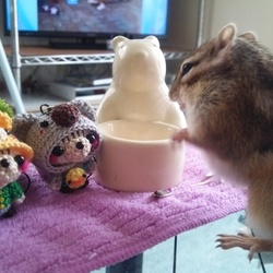 「かわいいお友達と…。」サムネイル2