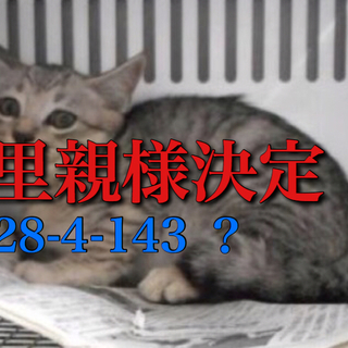 4匹里親様決定しました！