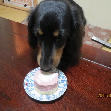 1歳の誕生日　初めてのケーキ