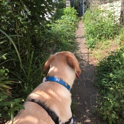 「ピヨピヨサラダ♪」サムネイル3