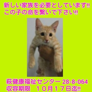 里親様決まりました！ ありがとうございました