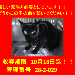 里親決定！！素敵な家族に出会えました(^^♪