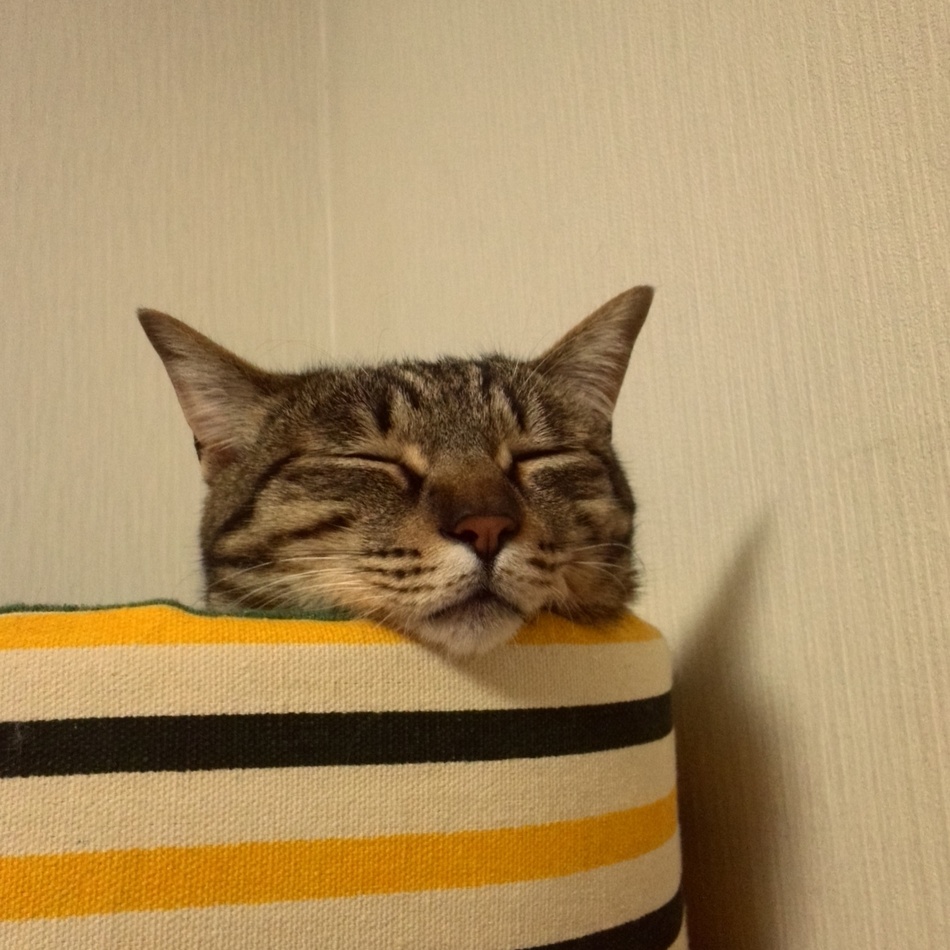 あずきのカバー写真