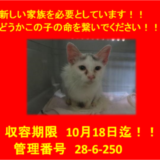 期限延長をお願いしました！回復に向かってます！