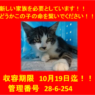 里親決定！！本当に有り難うございました(^^♪