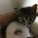 生後1ヶ月半です。よろしくお願いします。
