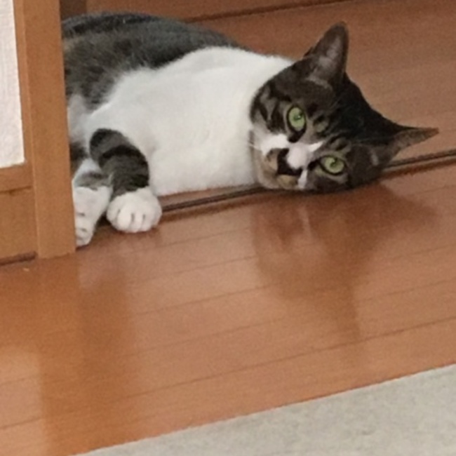 リオ68のカバー写真