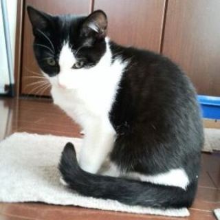 のんたん　　よく遊ぶ子です