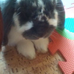 「頑張ってます」サムネイル2