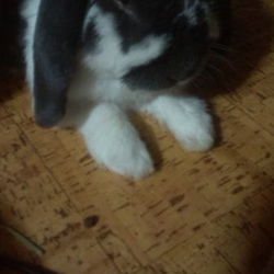 「頑張ってます」サムネイル3