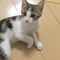 いったん募集締め切ります！