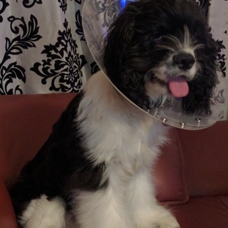 多数のお問い合わせの為一旦停止中