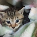素敵な方に里親様になっていただきました！