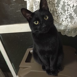 「ママが好き。」サムネイル2