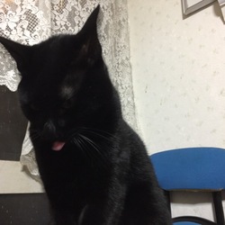 「ママが好き。」サムネイル3