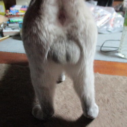 「ねむねむ」サムネイル3