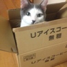 Ricca♪
