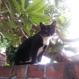 獣医さんのケージ暮らしは・・・