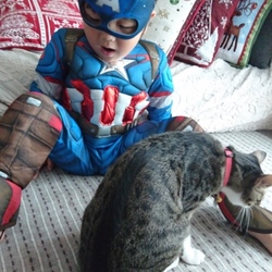 「アベンジャーズ現る」サムネイル1