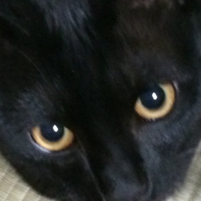 らびちのカバー写真