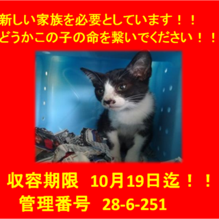 里親決定！！お迎えありがとうございました(^^♪