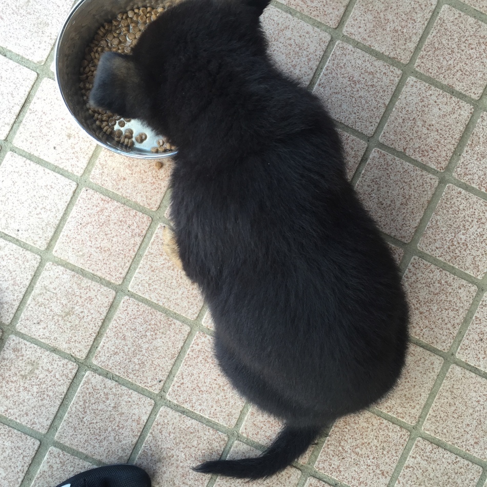 桃のカバー写真