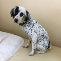 一時中断させて頂きます。