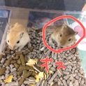 一旦締め切らせていただきます