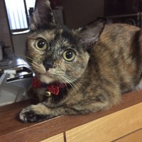 はな