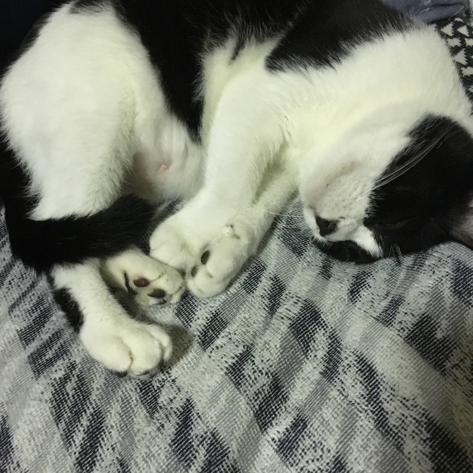 すけきよのカバー写真