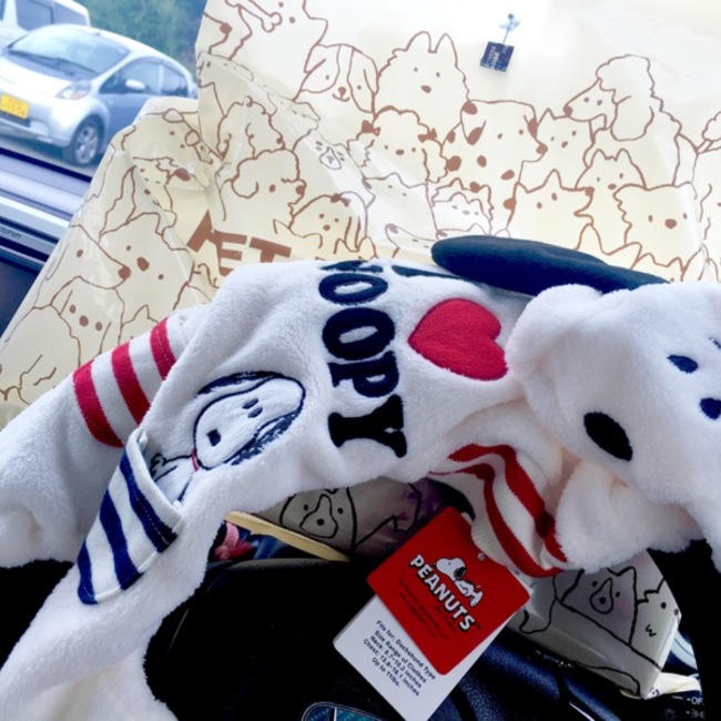 ぽん26歳のカバー写真