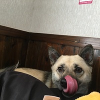 レオ