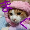 まぐ
