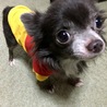 はなーはな