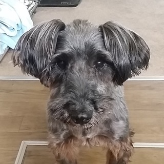 物静かで穏やかな男の子♪