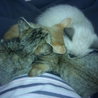 かわいがってくださる方