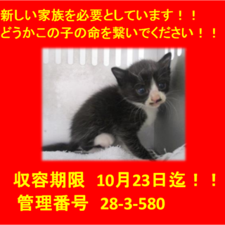 里親決定しました☆