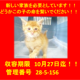 里親決定！！家族ができました(*´▽｀*)