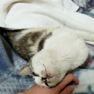 可愛いがってあげて下さい