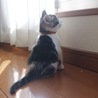 の写真